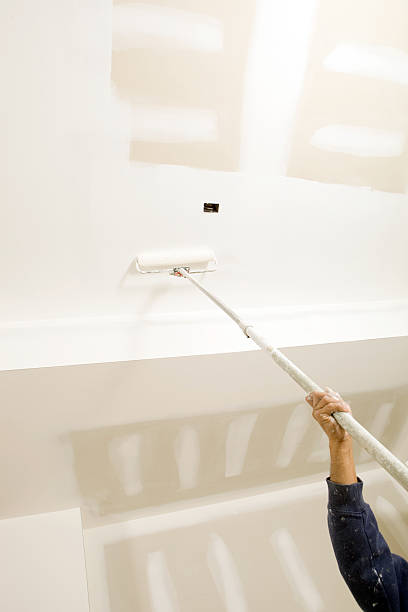 Best Mold Odor Removal Services  in Miller Place, NY