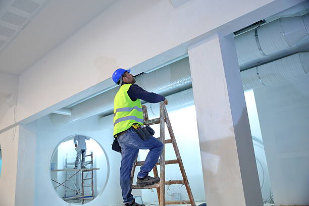Best Attic Mold Removal  in Miller Place, NY