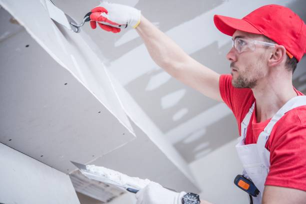 Environmental Consulting for Mold Prevention in Miller Place, NY